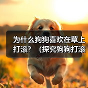 为什么狗狗喜欢在草上打滚？（探究狗狗打滚的原因与好处，让你更加了解宠物狗）（图3）