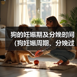 狗的妊娠期及分娩时间（狗妊娠周期、分娩过程及相关注意事项）（图3）