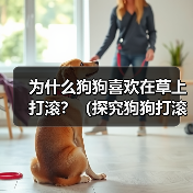 为什么狗狗喜欢在草上打滚？（探究狗狗打滚的原因与好处，让你更加了解宠物狗）（图4）