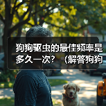 狗狗驱虫的最佳频率是多久一次？（解答狗狗驱虫频率的疑惑）（图3）