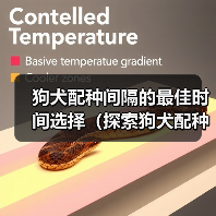狗犬配种间隔的最佳时间选择（探索狗犬配种间隔的最佳策略，以确保繁育的成功和健康）（图4）
