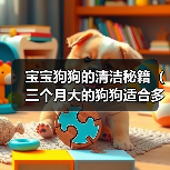 宝宝狗狗的清洁秘籍（三个月大的狗狗适合多久洗一次澡？）