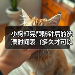 小狗打完预防针后的洗澡时间表(多久才可以给小狗洗澡?预防针的影响和建议)(图2) 小狗打完预防针后的洗澡时间表(多久才可以给小狗洗澡?预防针的影响和建议)(图2)