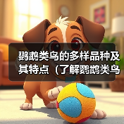 鹦鹉类鸟的多样品种及其特点（了解鹦鹉类鸟的品种和名称，探索其令人惊叹的多样性）（图4）