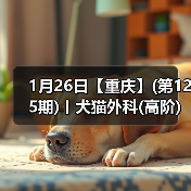 1月26日【重庆】(第125期)丨犬猫外科(高阶)班!含SUB(人人可实操)、乳糜胸等技术!(图2) 1月26日【重庆】(第125期)丨犬猫外科(高阶)班!含SUB(人人可实操)、乳糜胸等技术!(图2)