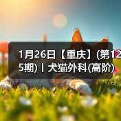 1月26日【重庆】(第125期)丨犬猫外科(高阶)班!含SUB(人人可实操)、乳糜胸等技术!(图1) 1月26日【重庆】(第125期)丨犬猫外科(高阶)班!含SUB(人人可实操)、乳糜胸等技术!(图1)