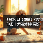 1月26日【重庆】(第125期)丨犬猫外科(高阶)班!含SUB(人人可实操)、乳糜胸等技术!(图3) 1月26日【重庆】(第125期)丨犬猫外科(高阶)班!含SUB(人人可实操)、乳糜胸等技术!(图3)