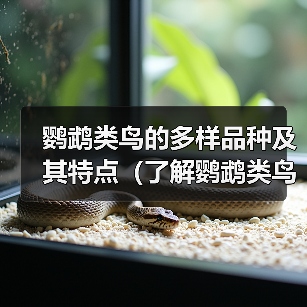 鹦鹉类鸟的多样品种及其特点（了解鹦鹉类鸟的品种和名称，探索其令人惊叹的多样性）（图1）