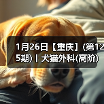1月26日【重庆】(第125期)丨犬猫外科(高阶)班!含SUB(人人可实操)、乳糜胸等技术!(图4) 1月26日【重庆】(第125期)丨犬猫外科(高阶)班!含SUB(人人可实操)、乳糜胸等技术!(图4)