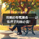博美的专属美食——这些牌子狗粮必备!(图1) 博美的专属美食——这些牌子狗粮必备!(图1)