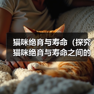 猫咪绝育与寿命（探究猫咪绝育与寿命之间的关系，让主人更明智地抉择）（图3）