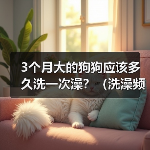 3个月大的狗狗应该多久洗一次澡?(洗澡频率对3个月大的狗狗的健康有何影响?)(图1) 3个月大的狗狗应该多久洗一次澡?(洗澡频率对3个月大的狗狗的健康有何影响?)(图1)