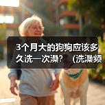 3个月大的狗狗应该多久洗一次澡?(洗澡频率对3个月大的狗狗的健康有何影响?)(图4) 3个月大的狗狗应该多久洗一次澡?(洗澡频率对3个月大的狗狗的健康有何影响?)(图4)