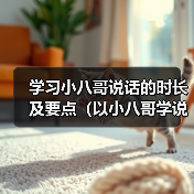 学习小八哥说话的时长及要点（以小八哥学说话，你需要多久才能掌握？）（图4）