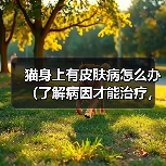 猫身上有皮肤病怎么办(了解病因才能治疗,给爱猫做个好主人)(图4) 猫身上有皮肤病怎么办(了解病因才能治疗,给爱猫做个好主人)(图4)