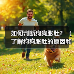 如何判断狗狗胀肚?(了解狗狗胀肚的原因和症状,及时处理避免严重后果)(图2) 如何判断狗狗胀肚?(了解狗狗胀肚的原因和症状,及时处理避免严重后果)(图2)