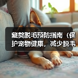 藏獒脱毛预防指南（保护宠物健康，减少脱毛困扰）（图4）