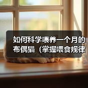 如何科学喂养一个月的布偶猫(掌握喂食规律,让宠物更健康)(图4) 如何科学喂养一个月的布偶猫(掌握喂食规律,让宠物更健康)(图4)