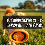 狗狗的情绪洞察力（以宠物为主，了解狗狗如何看出主人的心情和情绪）（图4）