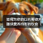 如何为你的以巴哥幼犬提供营养均衡的饮食(从主粮到零食,全面解析以巴哥幼犬的饮食需求)(图1) 如何为你的以巴哥幼犬提供营养均衡的饮食(从主粮到零食,全面解析以巴哥幼犬的饮食需求)(图1)