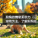 狗狗的情绪洞察力（以宠物为主，了解狗狗如何看出主人的心情和情绪）（图3）