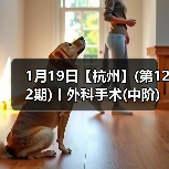 1月19日【杭州】(第122期)丨外科手术(中阶)实战班,2人/组提供一猫一狗,实操超多!(图3) 1月19日【杭州】(第122期)丨外科手术(中阶)实战班,2人/组提供一猫一狗,实操超多!(图3)