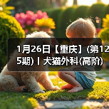 1月26日【重庆】(第125期)丨犬猫外科(高阶)班!含SUB(人人可实操)、乳糜胸等技术!(图3) 1月26日【重庆】(第125期)丨犬猫外科(高阶)班!含SUB(人人可实操)、乳糜胸等技术!(图3)