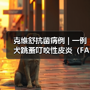 克维舒抗菌病例 | 一例犬跳蚤叮咬性皮炎(FAD)的病例分析(图3) 克维舒抗菌病例 | 一例犬跳蚤叮咬性皮炎(FAD)的病例分析(图3)