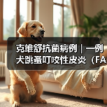 克维舒抗菌病例 | 一例犬跳蚤叮咬性皮炎(FAD)的病例分析(图4) 克维舒抗菌病例 | 一例犬跳蚤叮咬性皮炎(FAD)的病例分析(图4)