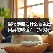 揭秘泰迪为什么会发出臭臭的味道?(探究泰迪散发异味的原因及解决方法)(图4) 揭秘泰迪为什么会发出臭臭的味道?(探究泰迪散发异味的原因及解决方法)(图4)