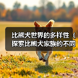 比熊犬世界的多样性(探索比熊犬家族的不同种类)(图1) 比熊犬世界的多样性(探索比熊犬家族的不同种类)(图1)