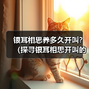 银耳相思养多久开叫？（探寻银耳相思开叫的最佳时机）（图4）