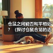 仓鼠之间能否和平相处？（探讨仓鼠合笼的适宜组合和方法）（图1）