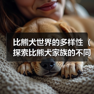 比熊犬世界的多样性(探索比熊犬家族的不同种类)(图2) 比熊犬世界的多样性(探索比熊犬家族的不同种类)(图2)