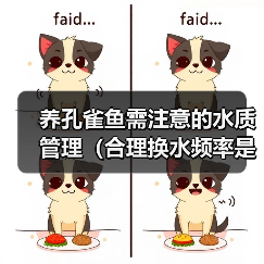 养孔雀鱼需注意的水质管理（合理换水频率是保持孔雀鱼健康的关键）（图3）