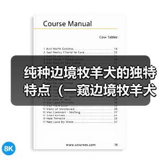 纯种边境牧羊犬的独特特点(一窥边境牧羊犬的五大魅力)(图4) 纯种边境牧羊犬的独特特点(一窥边境牧羊犬的五大魅力)(图4)