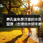 养孔雀鱼需注意的水质管理（合理换水频率是保持孔雀鱼健康的关键）（图4）