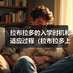 拉布拉多的入学时机和适应过程（拉布拉多上学的最佳年龄和教育过程）（图1）