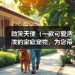 微笑天使(一款可爱活泼的家庭宠物,为您带来无尽的欢乐)(图3) 微笑天使(一款可爱活泼的家庭宠物,为您带来无尽的欢乐)(图3)