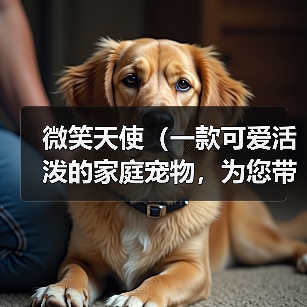 微笑天使(一款可爱活泼的家庭宠物,为您带来无尽的欢乐)(图4) 微笑天使(一款可爱活泼的家庭宠物,为您带来无尽的欢乐)(图4)