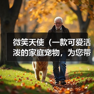 微笑天使(一款可爱活泼的家庭宠物,为您带来无尽的欢乐)(图1) 微笑天使(一款可爱活泼的家庭宠物,为您带来无尽的欢乐)(图1)