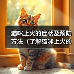 猫咪上火的症状及预防方法（了解猫咪上火的迹象，保护它们的健康）（图3）