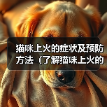猫咪上火的症状及预防方法（了解猫咪上火的迹象，保护它们的健康）（图4）
