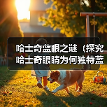 哈士奇蓝眼之谜(探究哈士奇眼睛为何独特蓝色,突变基因的关键作用)(图1) 哈士奇蓝眼之谜(探究哈士奇眼睛为何独特蓝色,突变基因的关键作用)(图1)