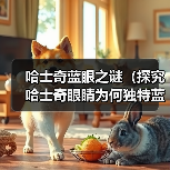 哈士奇蓝眼之谜(探究哈士奇眼睛为何独特蓝色,突变基因的关键作用)(图3) 哈士奇蓝眼之谜(探究哈士奇眼睛为何独特蓝色,突变基因的关键作用)(图3)