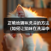 正确给猫咪洗澡的方法(如何让猫咪在洗澡中感到舒适与安全)(图4) 正确给猫咪洗澡的方法(如何让猫咪在洗澡中感到舒适与安全)(图4)