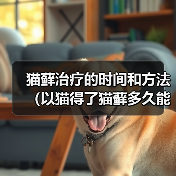 猫藓治疗的时间和方法（以猫得了猫藓多久能好？治疗猫藓的有效方法）（图2）