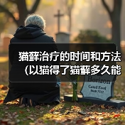 猫藓治疗的时间和方法（以猫得了猫藓多久能好？治疗猫藓的有效方法）（图4）