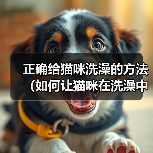 正确给猫咪洗澡的方法(如何让猫咪在洗澡中感到舒适与安全)(图1) 正确给猫咪洗澡的方法(如何让猫咪在洗澡中感到舒适与安全)(图1)