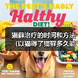 猫藓治疗的时间和方法（以猫得了猫藓多久能好？治疗猫藓的有效方法）（图3）